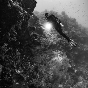 Vue verticale en noir et blanc d’un plongeur le long d’un tombant, Shark Point, mer de Banda, Indonésie
