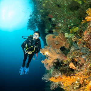 Diver facing the camera beside orange soft coral on a wall, Bacatan Wall, Banda Sea, Indonesia