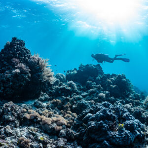Distant diver beyond a coral pinnacle under bright sun rays, Bacatan Wall, Banda Sea, Indonesia