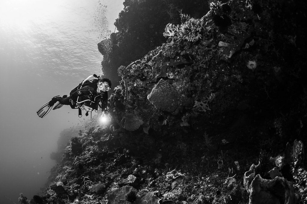 Black and white diver with torch along a dark reef wall, Cave Point, Banda Sea, Indonesia