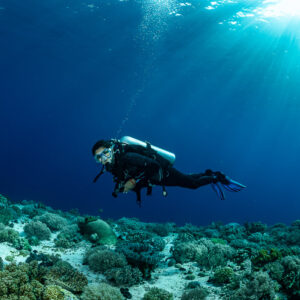 Diver gliding over a shallow coral garden under sunrays, Cave Point, Banda Sea, Indonesia