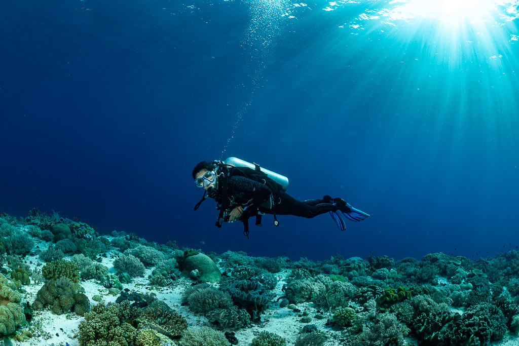 Diver gliding over a shallow coral garden under sunrays, Cave Point, Banda Sea, Indonesia