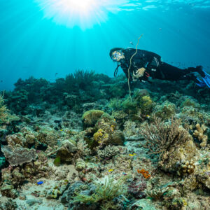 Diver gliding low over a shallow reef with sunburst above, Tanjung Tutunnukae, Banda Sea, Indonesia