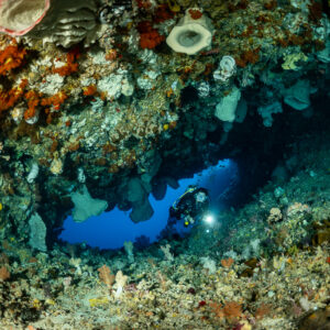 Diver with torch inside a small cave seen through reef overhang, The Arch, Banda Sea, Indonesia