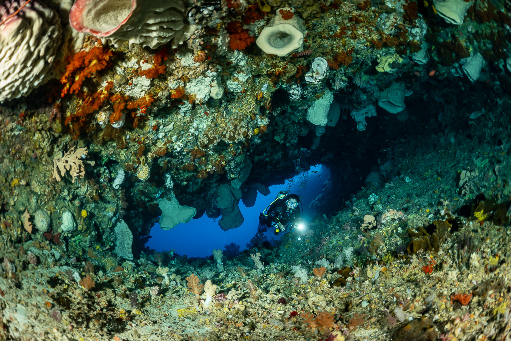 Diver with torch inside a small cave seen through reef overhang, The Arch, Banda Sea, Indonesia