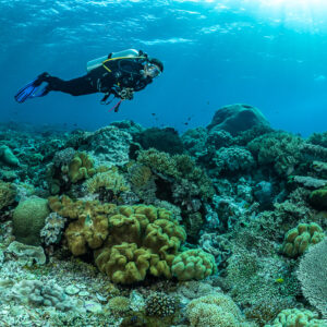 Diver gliding over a leather coral reef toward the light, The Arch, Banda Sea, Indonesia