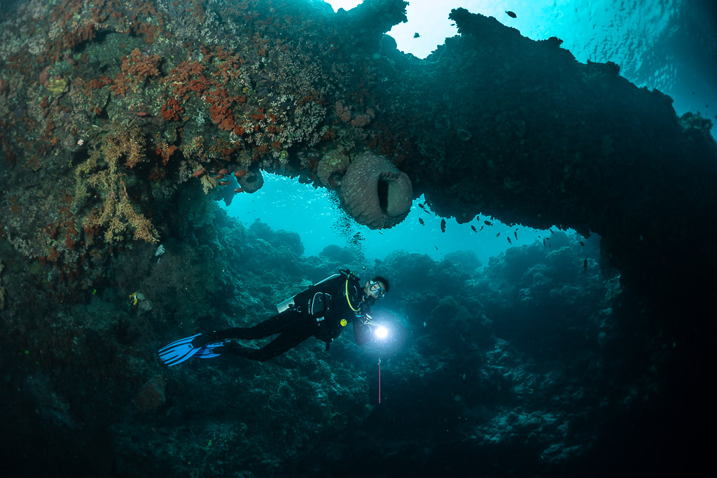 Plongeur avec phare passant sous une arche du récif, Hole in the Wall, mer de Banda, Indonésie