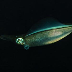 Bigfin reef squid in profile with iridescent eye at night, Maulana House Reef, Banda Sea, Indonesia