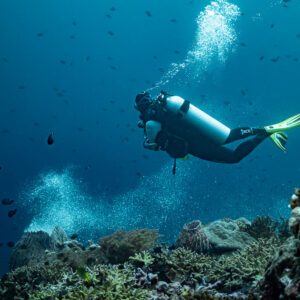 Diver exhaling bubbles above a coral reef with small fish, Jackpot, Banda Sea, Indonesia