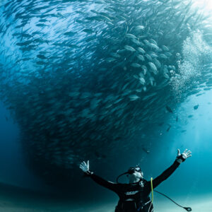 Diver kneeling with arms raised beneath a swirling trevally school, Cabo Pulmo, Baja California Sur, Mexico