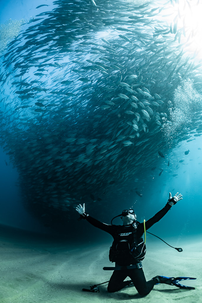 Diver kneeling with arms raised beneath a swirling trevally school, Cabo Pulmo, Baja California Sur, Mexico