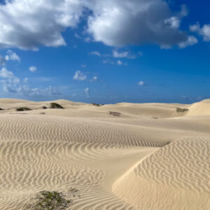 Rippled white sand dunes under a blue sky with puffy clouds, Magdalena Bay, Baja California Sur, Mexico