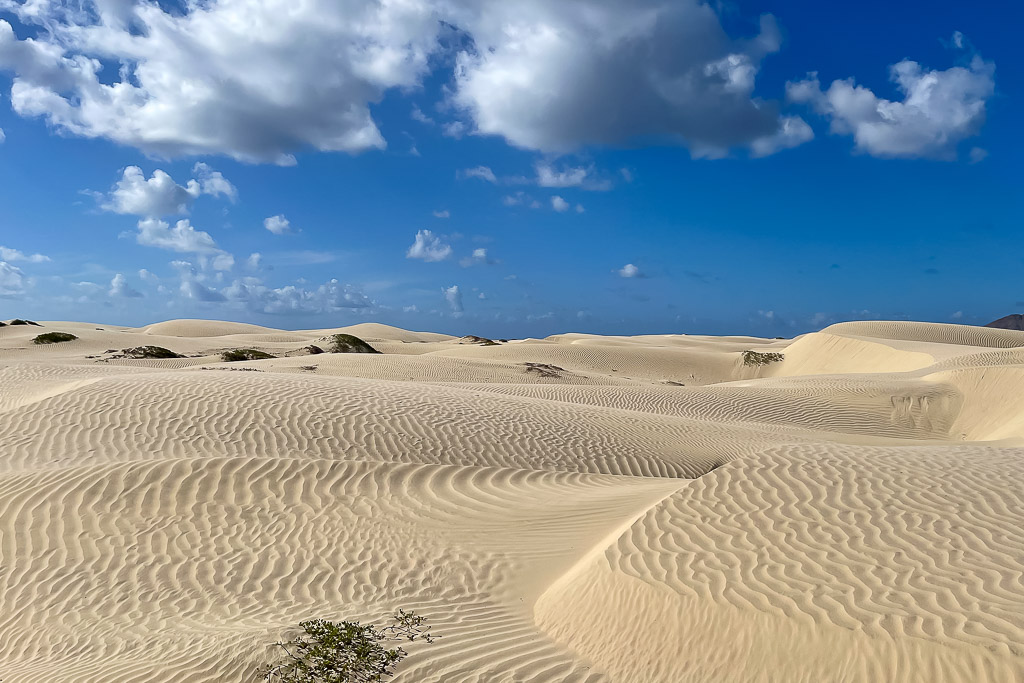 Rippled white sand dunes under a blue sky with puffy clouds, Magdalena Bay, Baja California Sur, Mexico