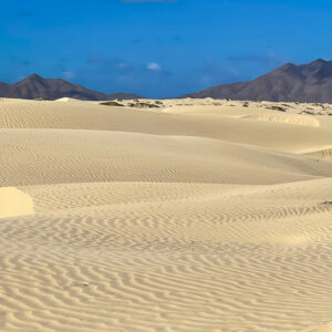 Wind-rippled sand dunes with rugged brown mountains on the horizon, Magdalena Bay, Baja California Sur, Mexico