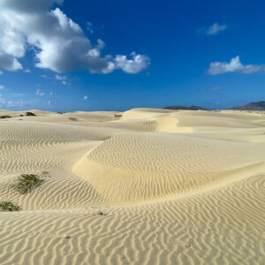Sand dunes with scattered green shrubs under a blue sky with clouds, Magdalena Bay, Baja California Sur, Mexico