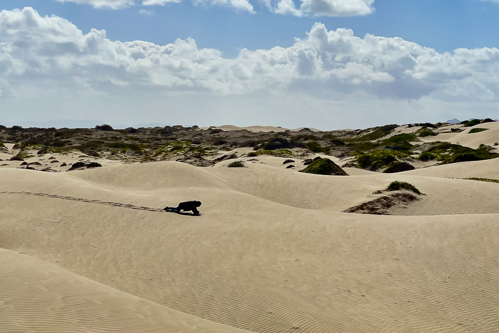 Distant person crouching on wide sand dunes under a cloudy sky, Magdalena Bay, Baja California Sur, Mexico