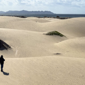 Silhouetted person walking across sand dunes toward distant mountains, Magdalena Bay, Baja California Sur, Mexico
