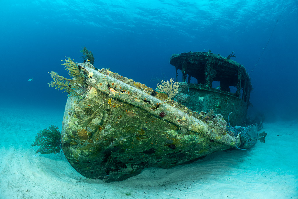 Épave d’un petit bateau posée droite sur le sable blanc, timonerie et gorgones, Grand Bahama, Bahamas