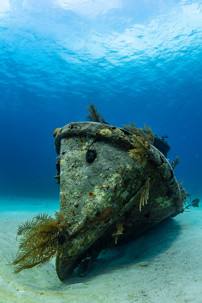 Vue verticale de l’étrave d’une petite épave sur le sable sous la surface, Grand Bahama, Bahamas