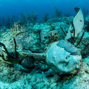 Coral-encrusted aircraft engine and propeller blade lying on a reef, Grand Bahama, Bahamas