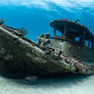 Small boat wreck on its side with wheelhouse and sea fans, low angle, Grand Bahama, Bahamas