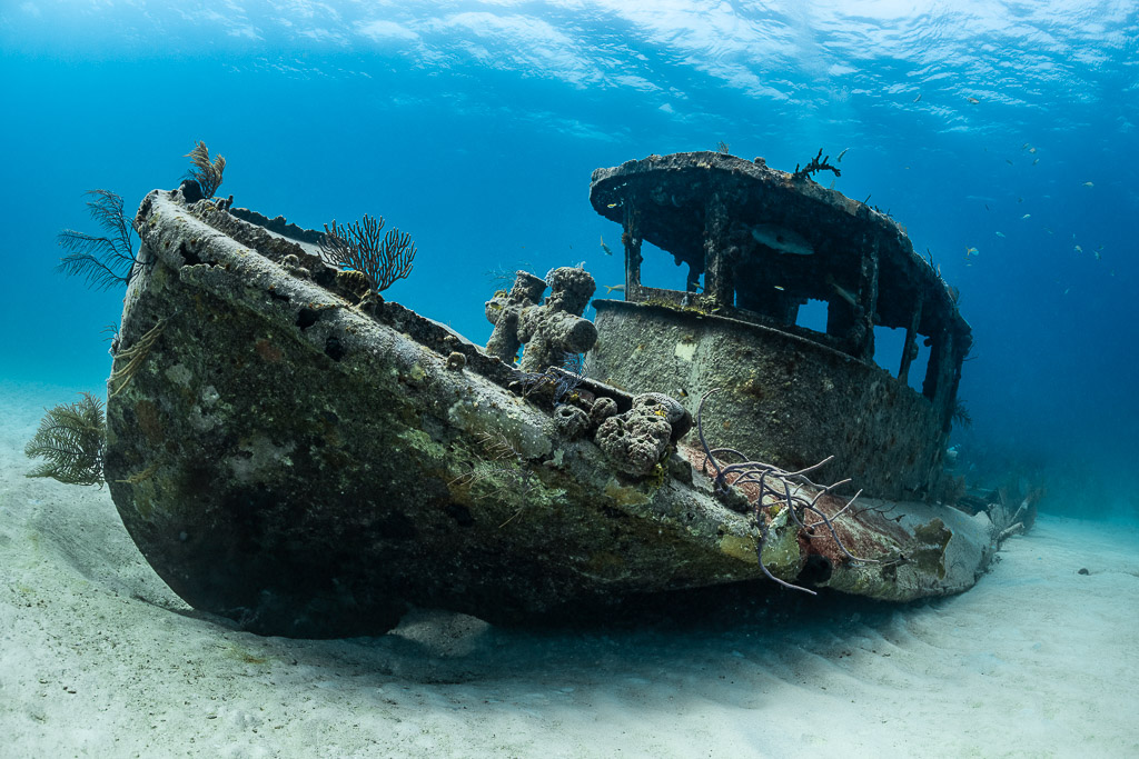 Small boat wreck on its side with wheelhouse and sea fans, low angle, Grand Bahama, Bahamas