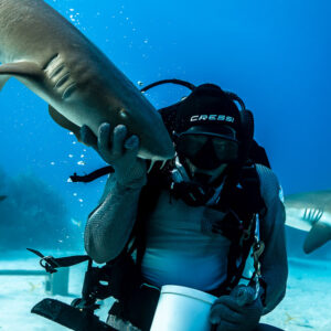 Nurse shark brushing feeder's mask, Caribbean reef sharks in background, Shark Junction, Grand Bahama, Bahamas