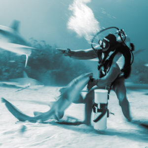 Cyan-toned monochrome motion blur, feeder pointing as sharks swirl at his knee, Shark Junction, Grand Bahama, Bahamas