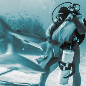 Cyan-toned monochrome motion blur of feeder clutching a shark to his chest, Shark Junction, Grand Bahama, Bahamas