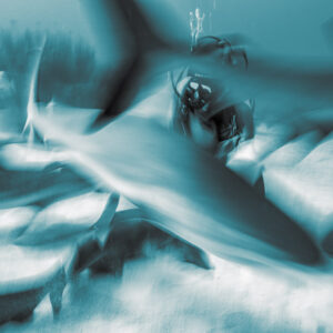 Cyan-toned monochrome swirl of blurred sharks engulfing the feeder, Shark Junction, Grand Bahama, Bahamas
