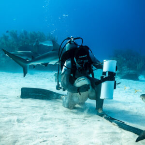 Kneeling feeder holding a shark on his lap, reef shark entering frame, Shark Junction, Grand Bahama, Bahamas