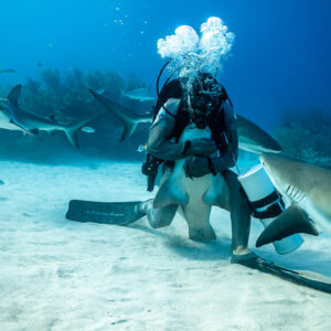 Feeder hunched over a shark in his lap, bubble cloud rising, Shark Junction, Grand Bahama, Bahamas