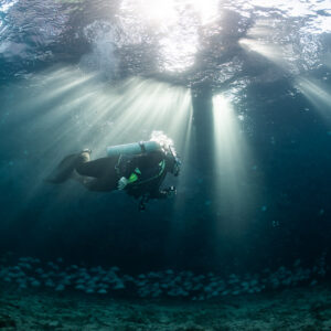 Diver under concrete shipwreck in sun rays above a school of fish, SS Sapona wreck, Bimini, Bahamas