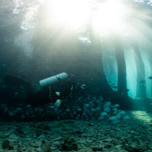 Diver close to a school of fish on the bottom under wreck sunbeams, SS Sapona wreck, Bimini, Bahamas