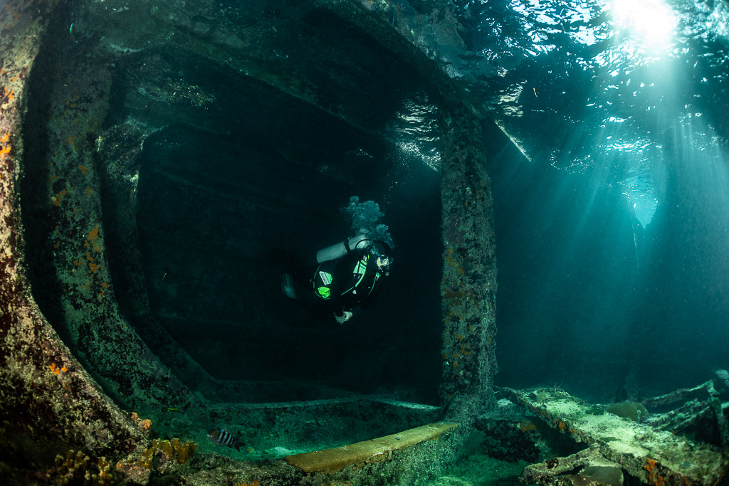 Diver framed by encrusted concrete wreck interior arches, SS Sapona wreck, Bimini, Bahamas