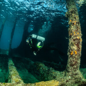 Diver hovering inside wreck with encrusted pillar in foreground, SS Sapona wreck, Bimini, Bahamas