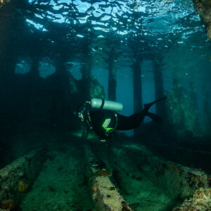 Diver between colourful sponge-encrusted pillars inside wreck, SS Sapona wreck, Bimini, Bahamas