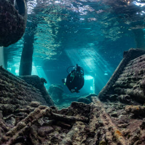 Diver framed between two concrete hull walls of a shallow wreck, SS Sapona wreck, Bimini, Bahamas