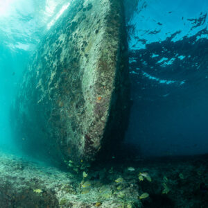 Vue verticale d’une coque d’épave s’élevant vers la surface lumineuse, épave du SS Sapona, Bimini, Bahamas