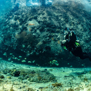 Diver swimming along the encrusted outer hull of a wreck, SS Sapona wreck, Bimini, Bahamas