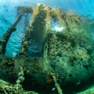 Encrusted wreck structure rising from the sand in green-blue water, SS Sapona wreck, Bimini, Bahamas