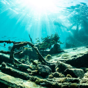 Ferraille tordue d’épave sur le sable sous un soleil éclatant, épave du SS Sapona, Bimini, Bahamas