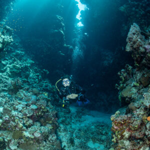 Diver in a narrow reef canyon under a shaft of light, vertical, Rocky Island, Red Sea, Egypt