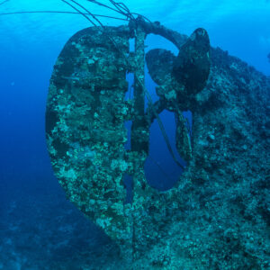 Rudder and propeller of a wreck stern rising from the reef, vertical, Levanzo wreck, Red Sea, Egypt