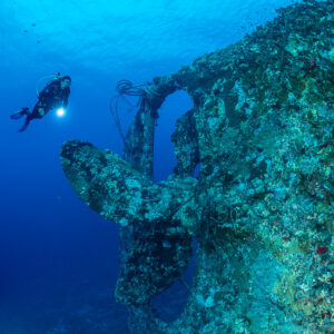 Diver approaching the coral-encrusted propeller and rudder of a wreck, Levanzo wreck, Red Sea, Egypt