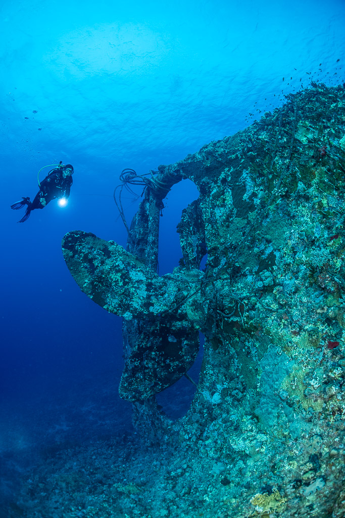 Diver approaching the coral-encrusted propeller and rudder of a wreck, Levanzo wreck, Red Sea, Egypt