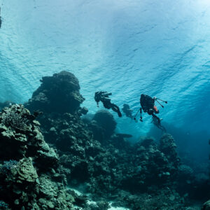 Two divers silhouetted above reef pinnacles under the surface, Levanzo wreck, Red Sea, Egypt