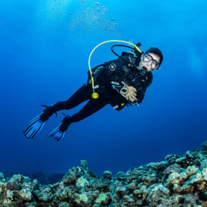 Diver posing face to camera in blue water above the reef, Shaab Samadai Kebir, Red Sea, Egypt