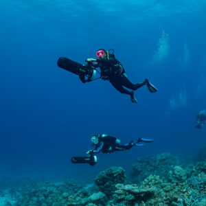 Two divers with underwater scooters cruising along the reef, Shaab Samadai Kebir, Red Sea, Egypt