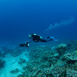 Diver with scooter over a reef flat with another diver behind, Shaab Samadai Kebir, Red Sea, Egypt